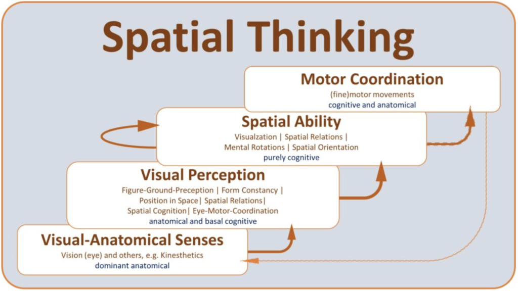 Figure: The successive stages of the process of spatial thinking (Maresch, Sorby, 2021)